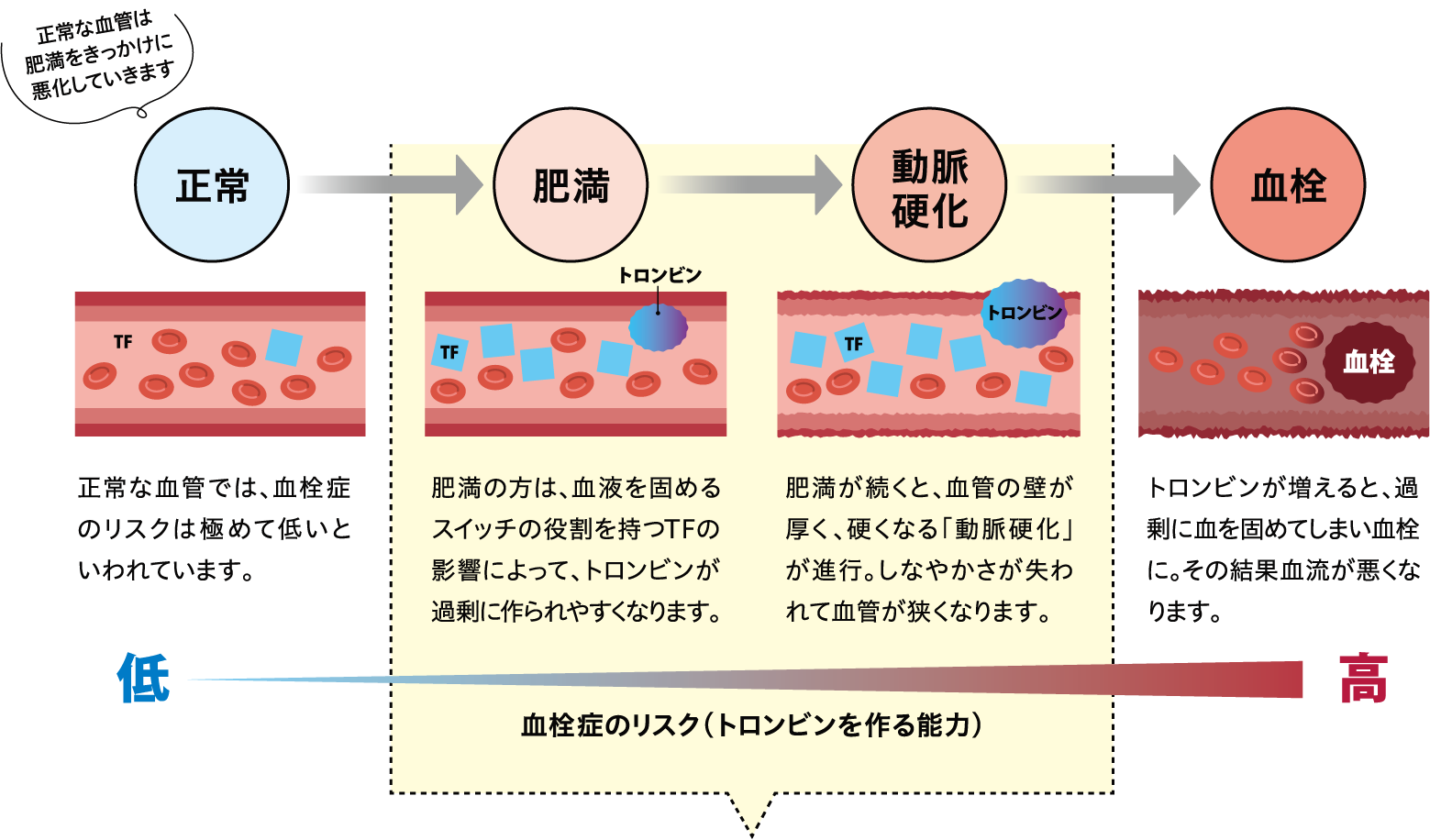 肥満状態は、血液を固める物質がつくられやすい状態です